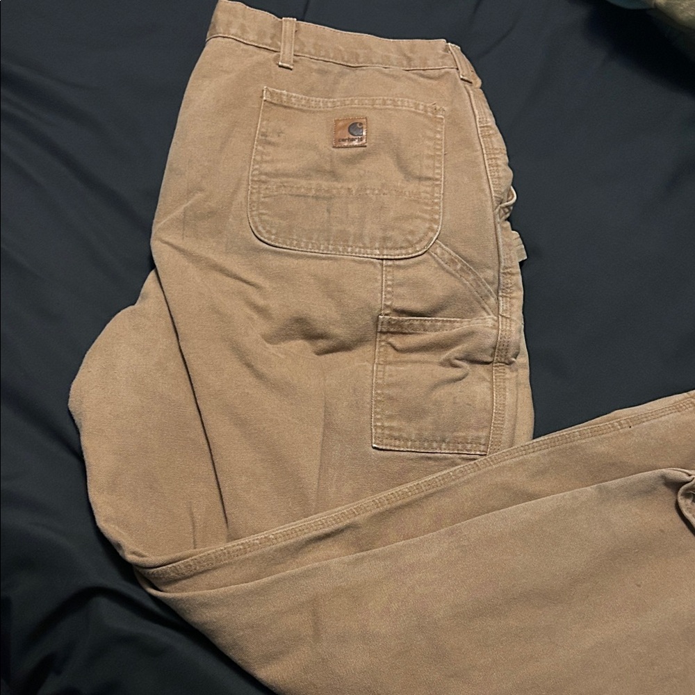 Carhartt Men's Brown pants